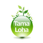 多摩ロハ 睡泳部 山本コヲジ