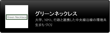 グリーンネックレス