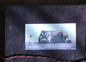 おうち多摩ロハ