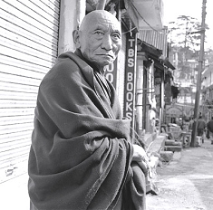 パルデン・ギャッツォ